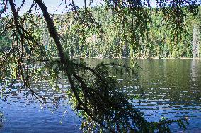 The Prasily Lake