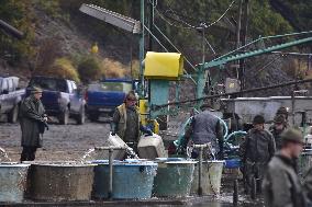 fishermen, fishing, fish, Rozmberk pond