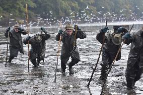 fishermen, fishing, fish, Rozmberk pond