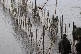 fishermen, fishing, fish, Rozmberk pond