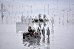 fishermen, fishing, fish, Rozmberk pond