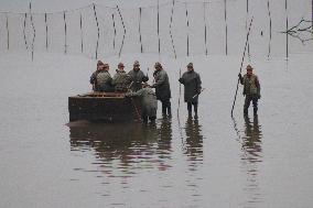 fishermen, fishing, fish, Rozmberk pond