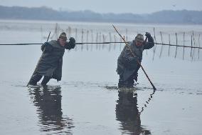 fishermen, fishing, fish, Rozmberk pond