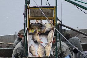 fishermen, fishing, fish, Rozmberk pond