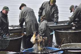 fishermen, fishing, fish, Rozmberk pond