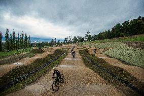 pump track circuit for cyclists, cyclist