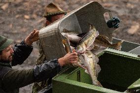 fishermen, fishing, fish, Rozmberk pond