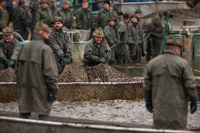 fishermen, fishing, fish, Rozmberk pond