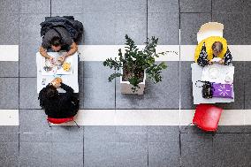 fast food, restaurant, lunch, spacing, people, pair, couple, coronavirus, COVID-19, Hradec Kralove