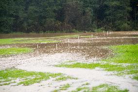 River Novohradka, village Luze, heavy rain, raised water level