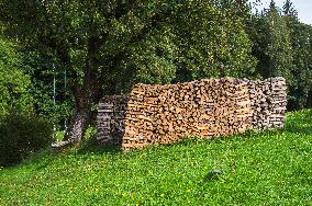 dried wood, timber, firewood, biomass