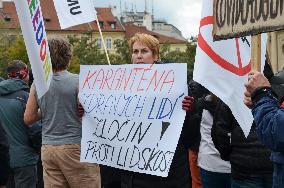 Protesters against COVID measures, Prague, policemen, protest, lockdown measures