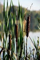 Litovelske Pomoravi Protected Landscape Area