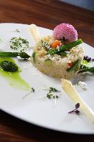 Italian risotto, asparagus, leek, vegetarian food, plate