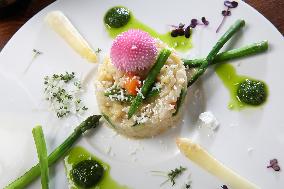 Italian risotto, asparagus, leek, vegetarian food,plate