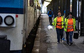 Cleaning, female worker, train