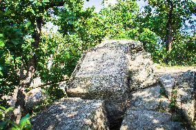 Sealsfield stone, Podyji National Park, Thayatal