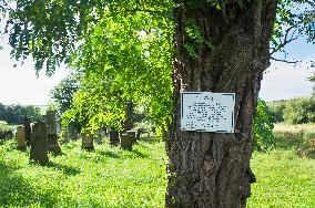 Jewish cemetery Safov