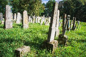 Jewish cemetery Safov