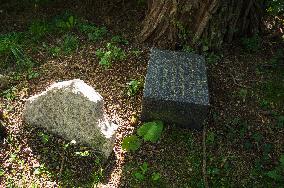 Jewish cemetery Safov