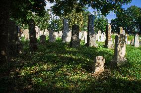 Jewish cemetery Safov