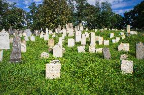 Jewish cemetery Safov