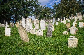 Jewish cemetery Safov
