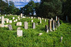 Jewish cemetery Safov