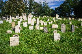Jewish cemetery Safov