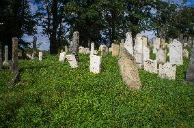 Jewish cemetery Safov