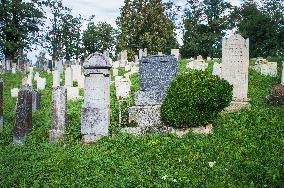 Jewish cemetery Safov