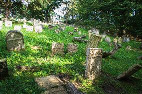 Jewish cemetery Safov