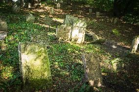 Jewish cemetery Safov