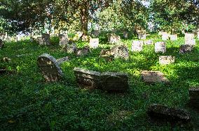 Jewish cemetery Safov