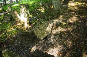 Jewish cemetery Safov