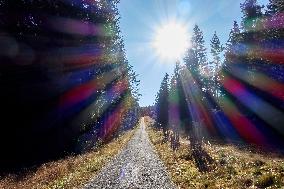 Sumava, trees, autumn colors, road to Polednik Mountain, sun solar corona, sunlight sun rays
