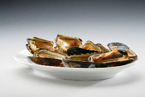 Mediterranean mussel (Mytilus galloprovincialis), mussels