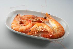 caridea, caridean shrimp, prawns, Penaeus monodon