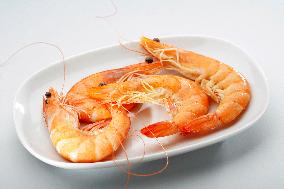 caridea, caridean shrimp, prawns, Penaeus monodon