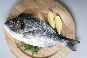 gilt-head (sea) bream, Orata, fish