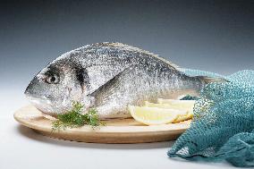 gilt-head (sea) bream, Orata, fish