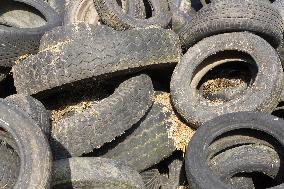 Old tire, tires, garbage, waste, dump