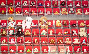 stuffed animals (plush) toys, ice-hockey match, Czech League, state of emergency, covid-19