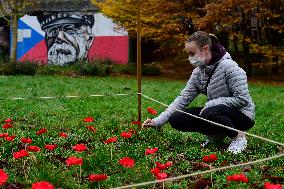 A field of poppies mark tomorrow's celebration of War Veterans Day