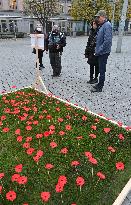 A field of poppies mark tomorrow's celebration of War Veterans Day