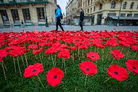 A field of poppies mark  celebration of War Veterans Day Prague
