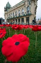 Vlci mak, kvet, kvety, Den valecnych veteranu, namesti Republiky, Praha, Obecni dum