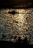 Boat, people, city center, Prague, Vltava River