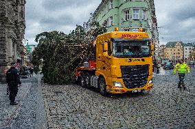 Christmas tree , transport, truck, Liberec, square of Dr. Edvard Benes