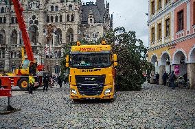 Christmas tree , transport, truck, Liberec, square of Dr. Edvard Benes